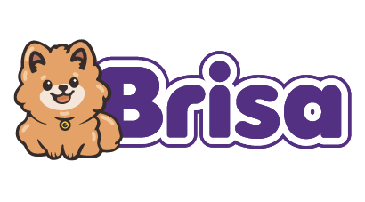 logo brisa